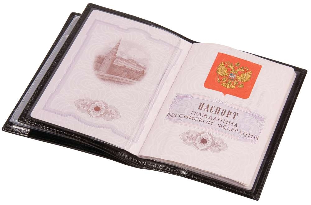 Обложка для автодокументов и паспорта Omnia Mea, кожа