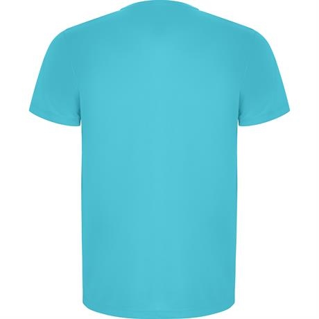 Спортивная футболка IMOLA мужская, БИРЮЗОВЫЙ 3XL, бирюзовый