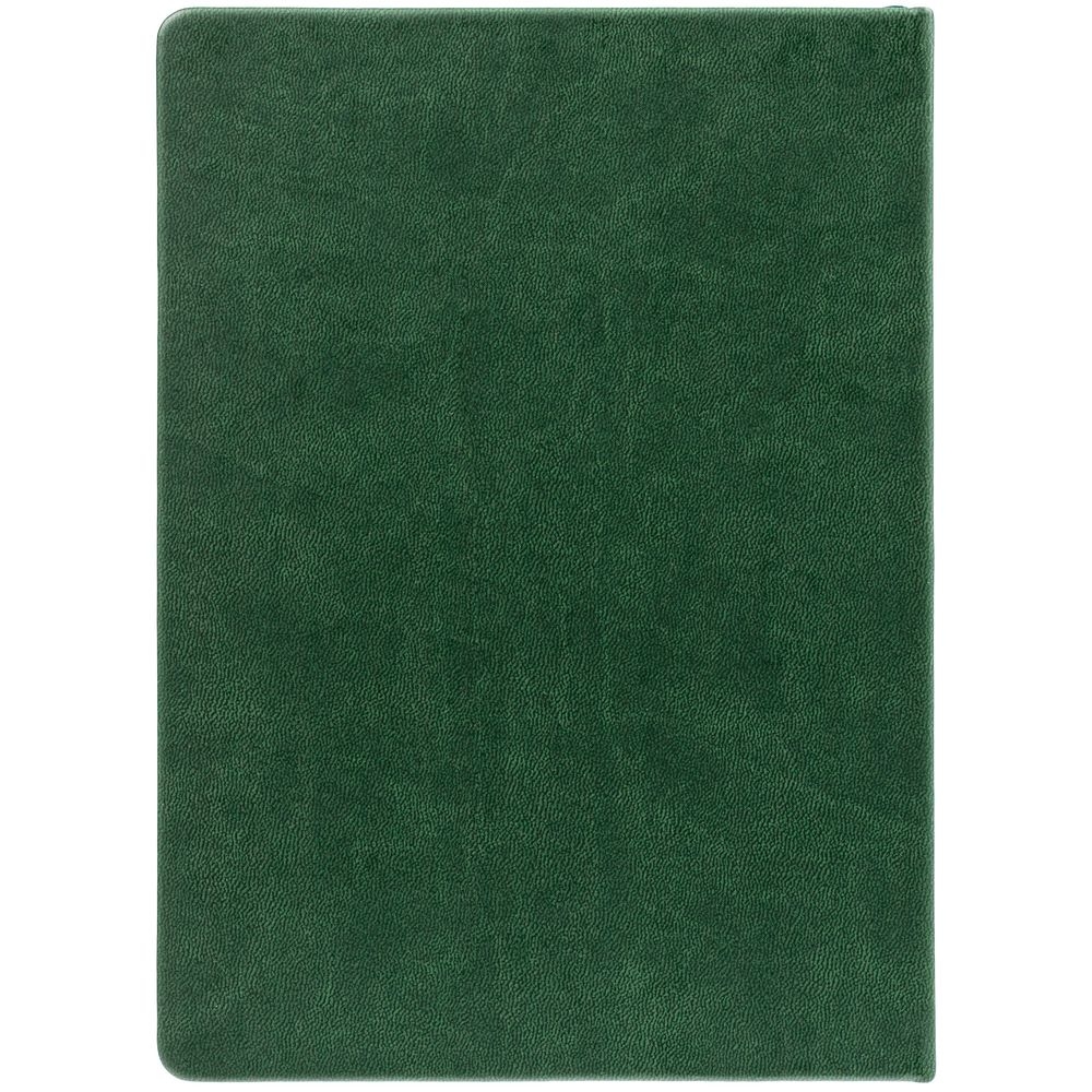 Ежедневник New Latte, недатированный, зеленый, зеленый, кожзам