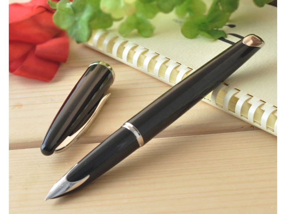 Ручка перьевая Carene, черный, серебристый
