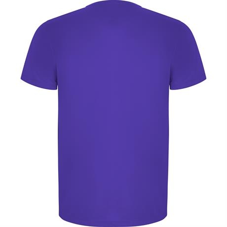 Спортивная футболка IMOLA мужская, ЛИЛОВЫЙ 3XL, лиловый