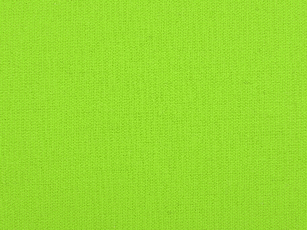Сумка для шопинга «Steady» хлопковая с парусиновыми ручками, 260 г/м2, зеленый, хлопок