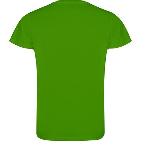 Спортивная футболка CAMIMERA мужская, ПАПАРОТНИКОВЫЙ 3XL, папаротниковый