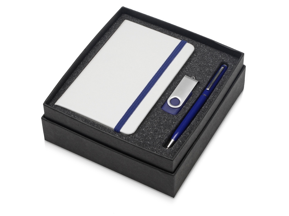 Подарочный набор Reporter Plus с флешкой, ручкой и блокнотом А6, синий, пластик, металл, картон