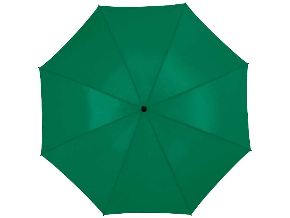 Зонт-трость «Zeke», зеленый, полиэстер