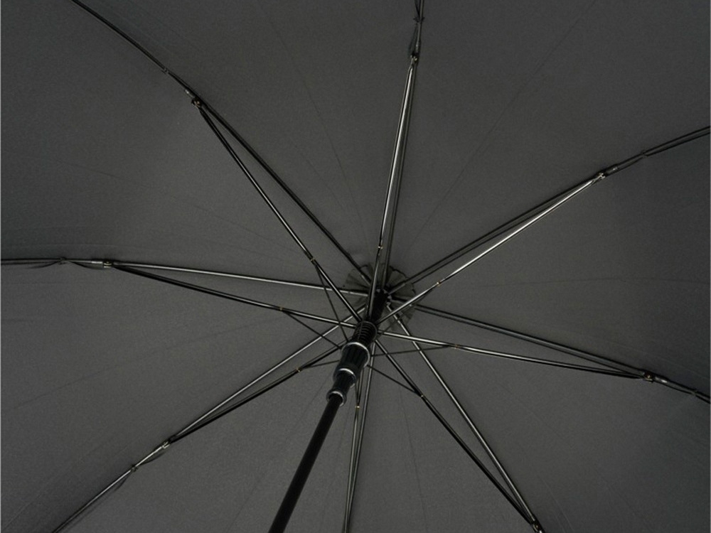 Зонт-трость «Alina», черный, полиэстер