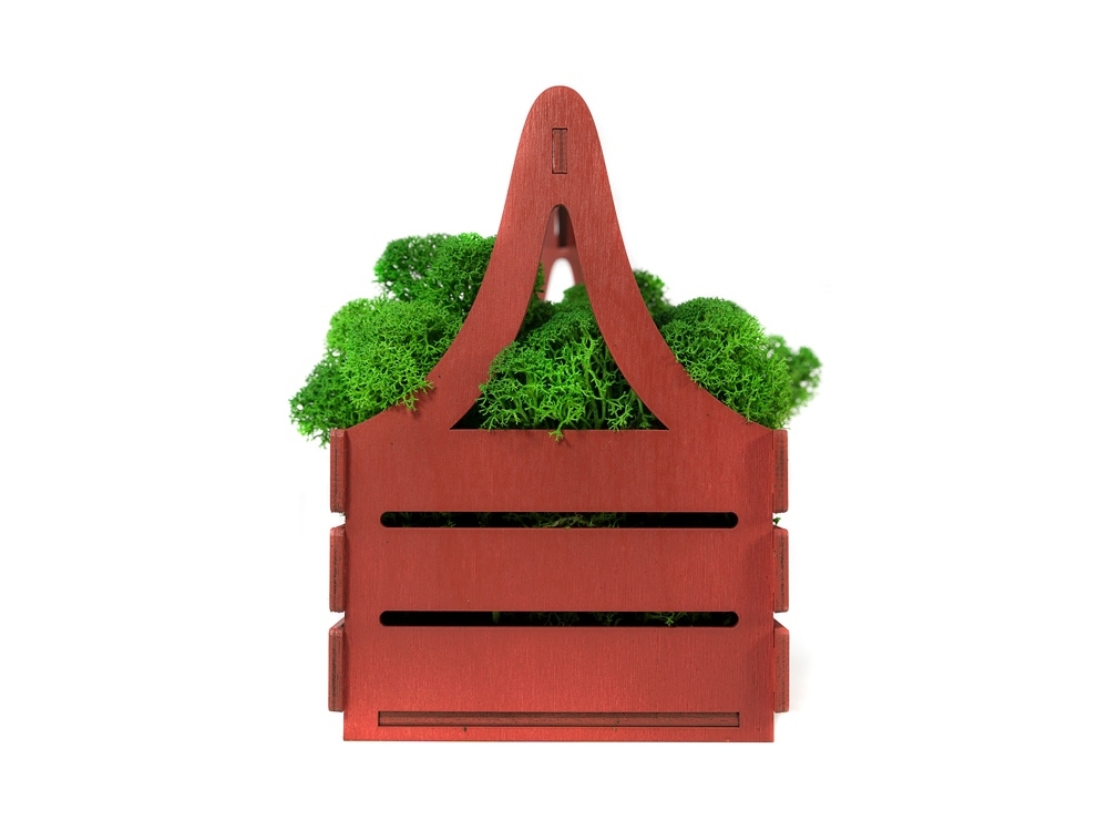 Композиция «Корзинка со мхом», зеленый, красный, дерево