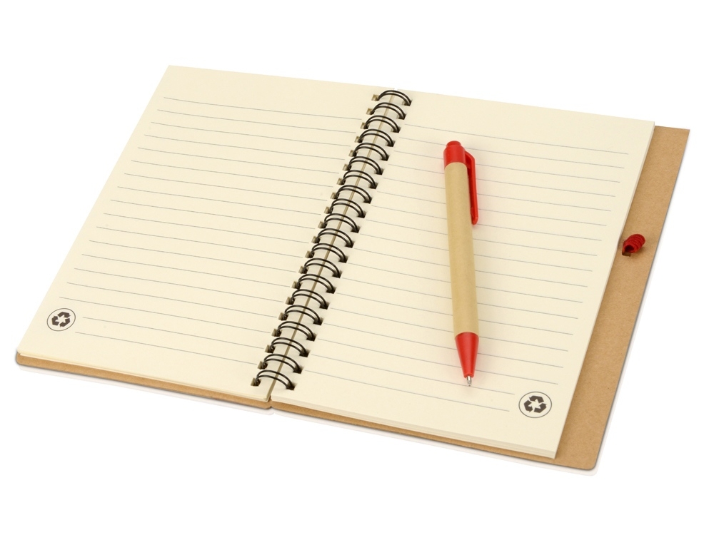 Подарочный набор Essentials с флешкой и блокнотом А5 с ручкой, красный, пластик, металл, бумага