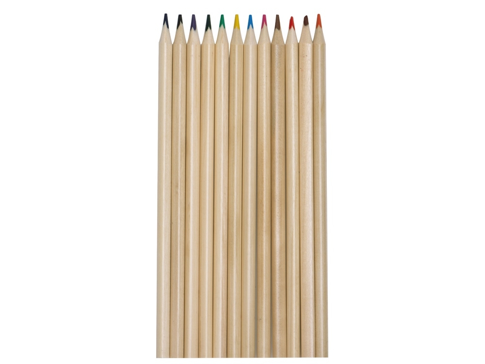 Набор из 12 трехгранных цветных карандашей «Painter», натуральный, дерево, картон
