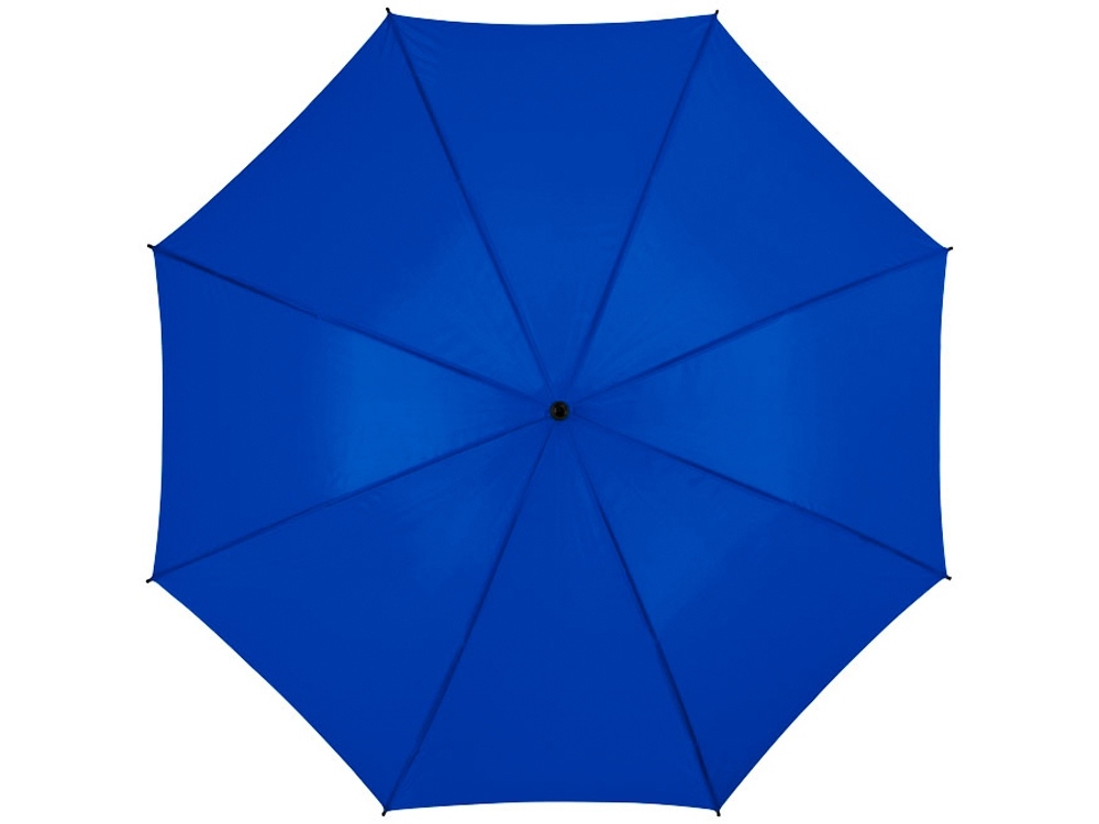 Зонт-трость «Barry», синий, полиэстер
