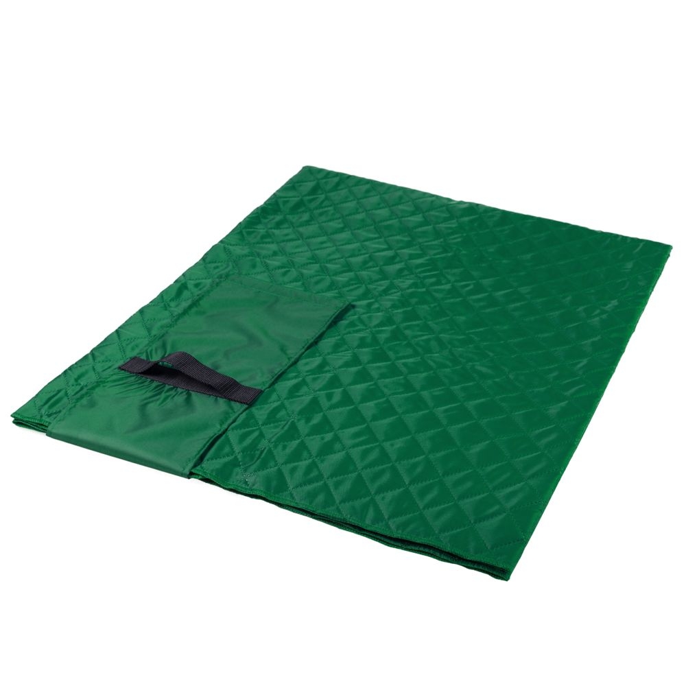 Плед для пикника Comfy, зеленый, зеленый, флис