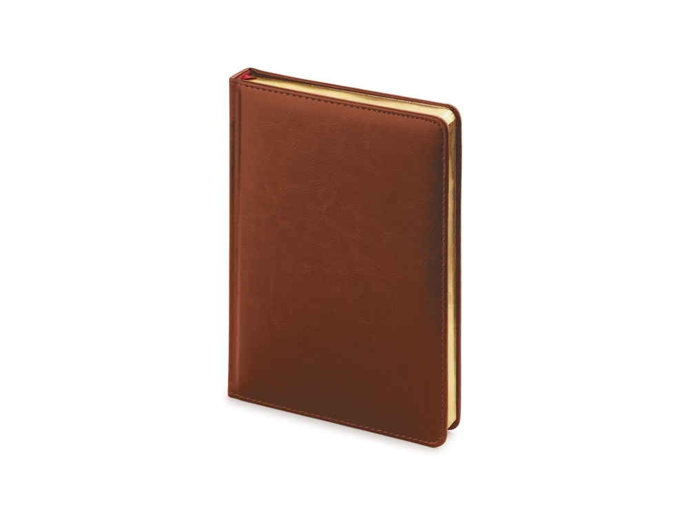 Ежедневник датированный А5 «Sidney Nebraska» на 2025 год, коричневый, кожзам