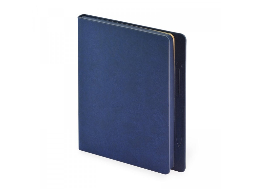 Ежедневник недатированный А5 «Megapolis Magnet», синий, кожзам, soft touch