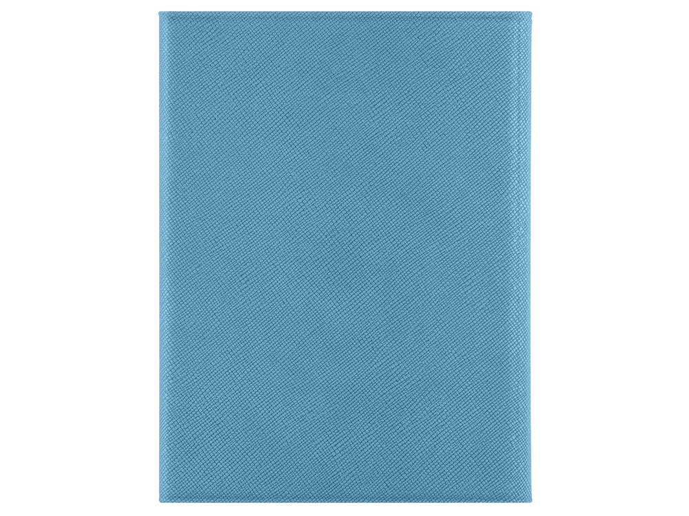 Обложка на магнитах для автодокументов и паспорта «Favor», голубой, пластик