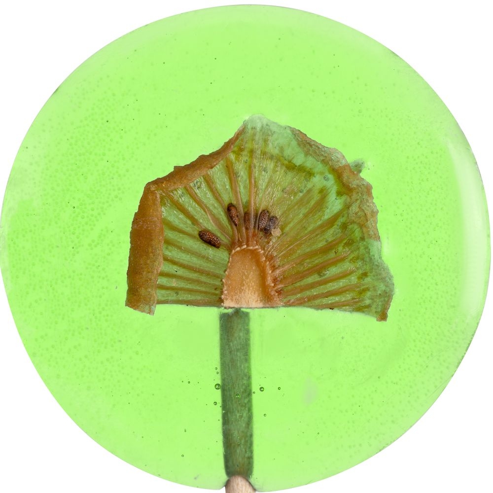 Леденец Lollifruit, зеленый с киви, зеленый