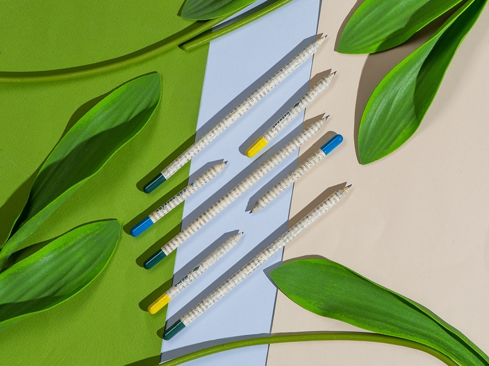 Набор «Растущий карандаш» mini, 2 шт. с семенами голубой ели и сосны, белый, серый, голубой, бумага