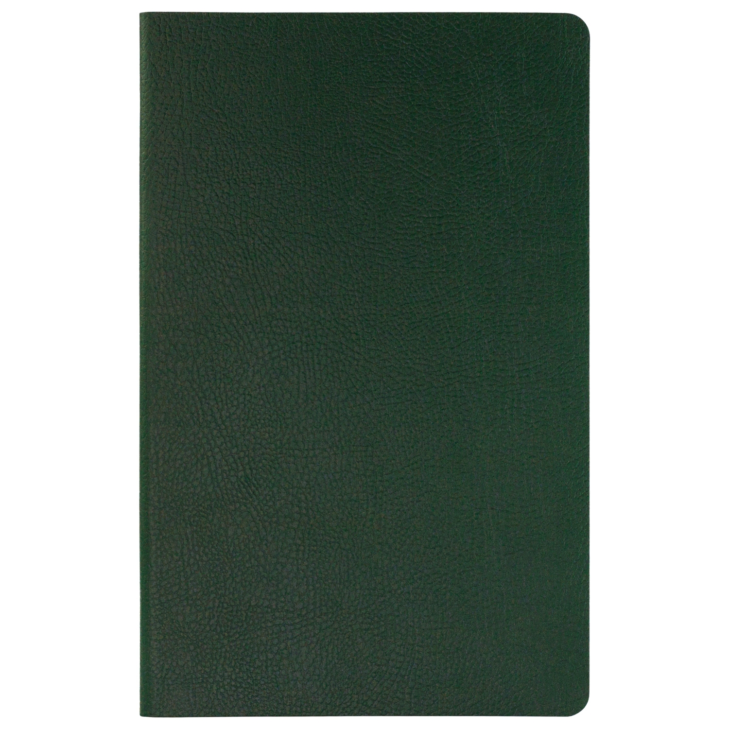 Ежедневник Slimbook Marseille недатированный без печати, зеленый (Sketchbook), зеленый
