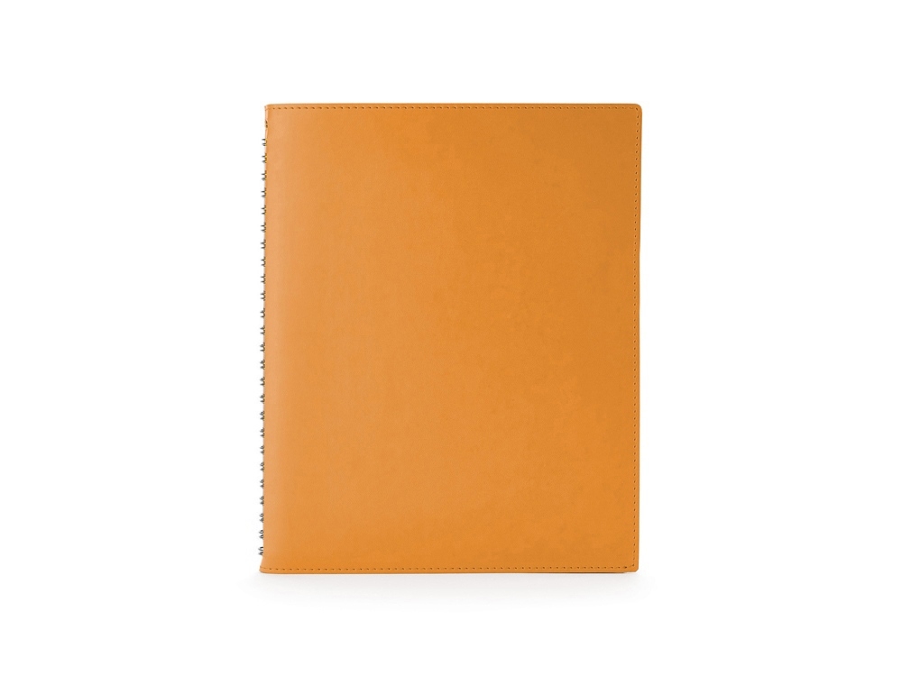Ежедневник недатированный B5 «Tintoretto New», оранжевый, кожзам