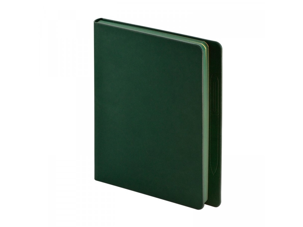 Ежедневник недатированный А5 «Megapolis Magnet», зеленый, кожзам, soft touch