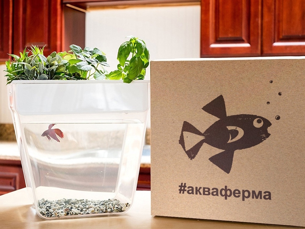 Набор для выращивания растений и ухода за рыбкой «Акваферма», белый, прозрачный, пластик, поликарбонат