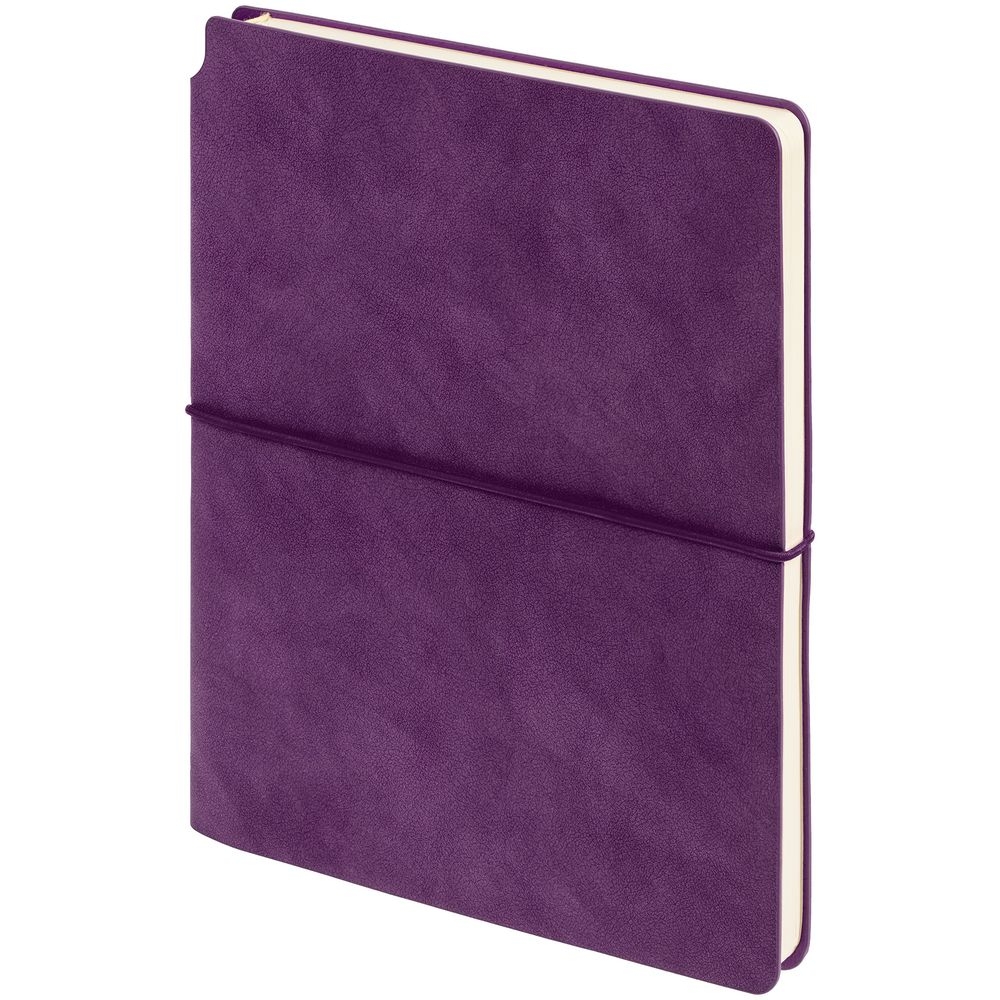 Набор Business Diary, фиолетовый, фиолетовый