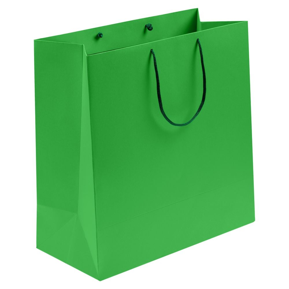 Пакет бумажный Porta L, зеленый, зеленый, бумага