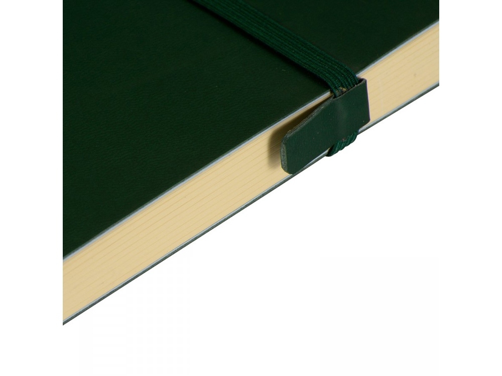 Ежедневник недатированный А5 «Tokyo», зеленый, кожзам, soft touch