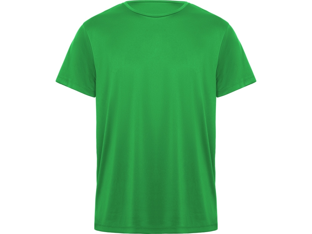 Спортивная футболка «Daytona» мужская, зеленый, полиэстер