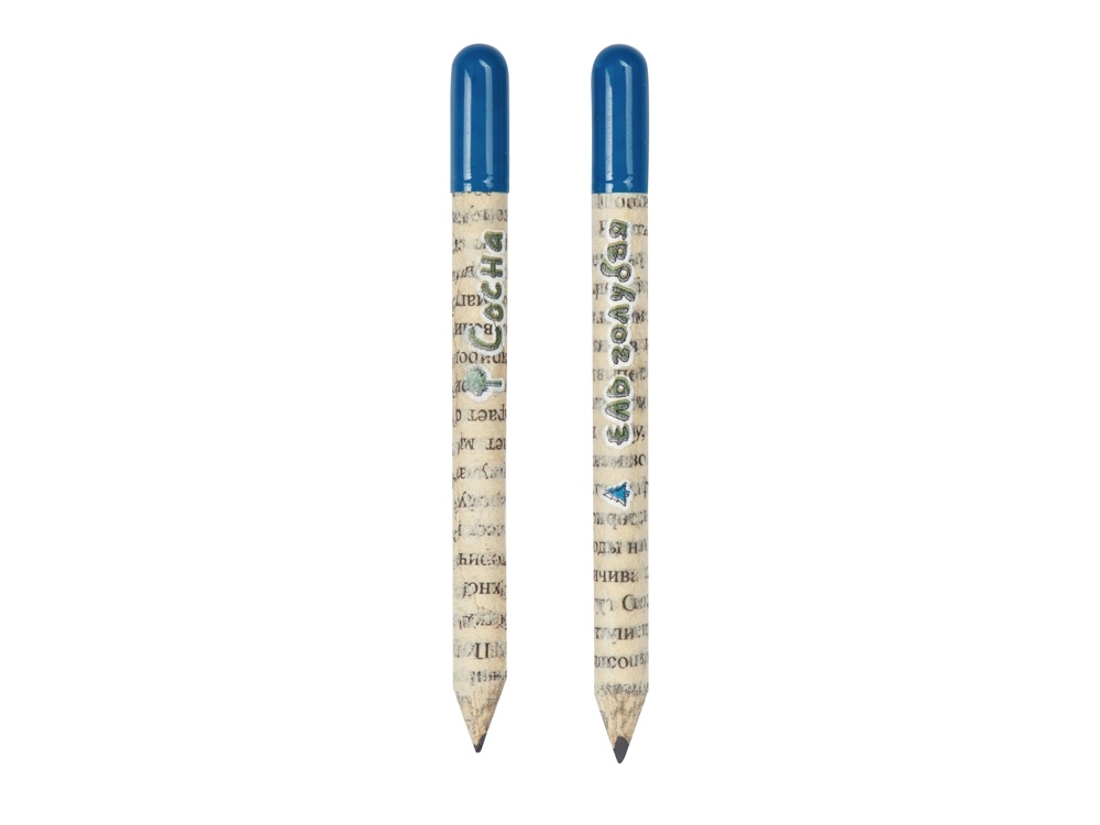 Набор «Растущий карандаш» mini, 2 шт. с семенами голубой ели и сосны, белый, серый, голубой, бумага