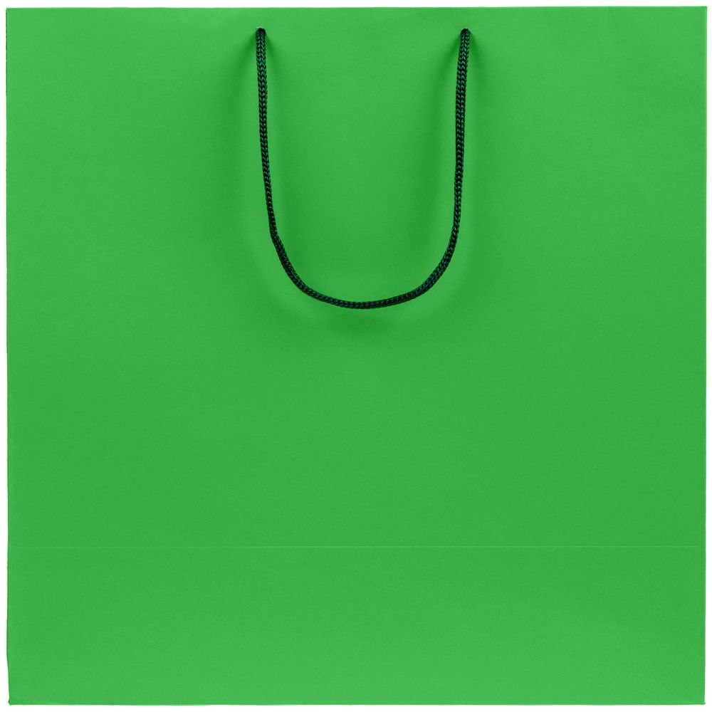 Пакет бумажный Porta L, зеленый, зеленый, бумага