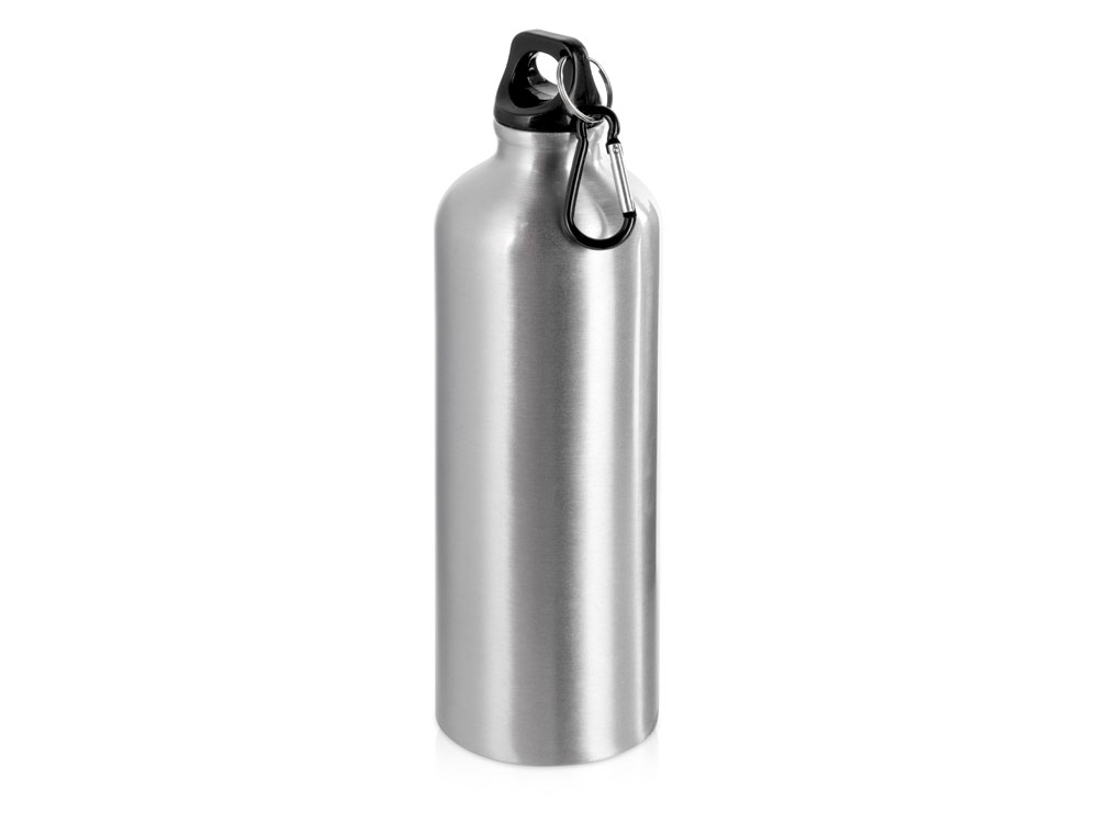 Бутылка «Hip M» с карабином, 770 мл, серебристый, пластик, алюминий