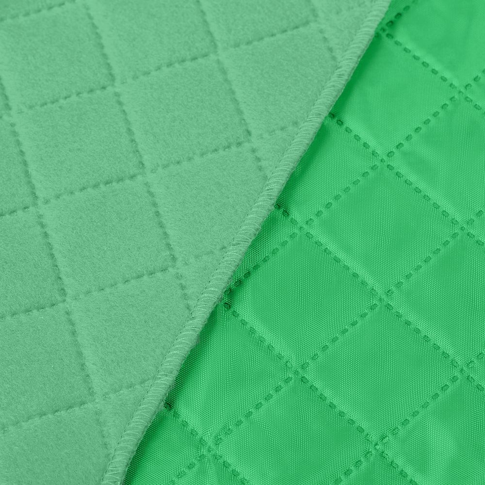 Плед для пикника Soft & Dry, светло-зеленый, зеленый, флис