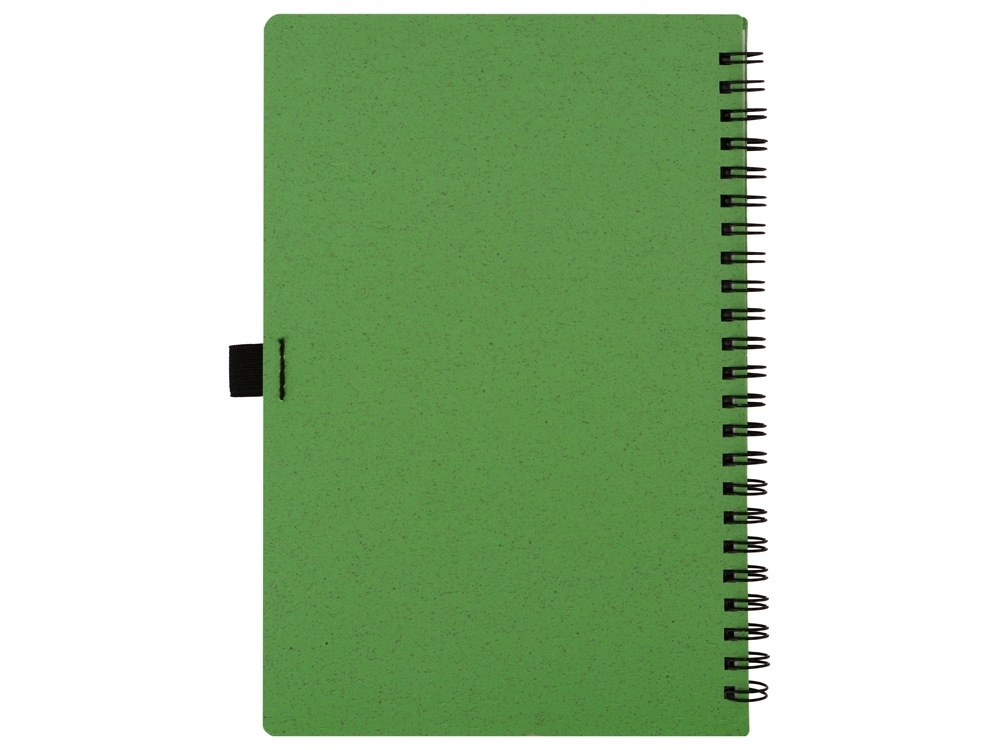 Блокнот А5 «Toledo M» с обложкой из пшеницы и пластика, зеленый, пластик, бумага