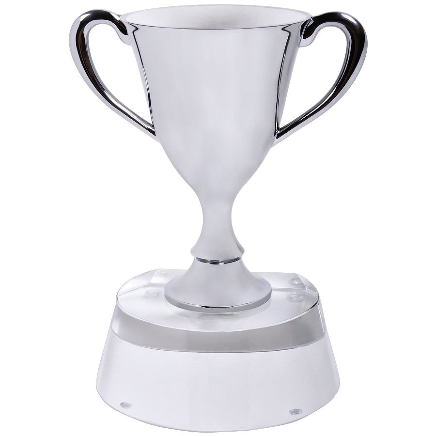 Стела "Кубок победителя" в подарочной упаковке; 13х10х17 см; стекло, металл, серебристый