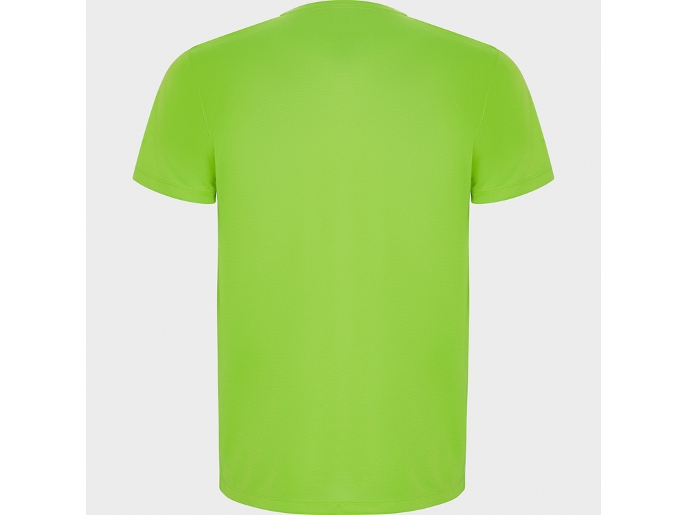Спортивная футболка «Imola» мужская, зеленый, полиэстер
