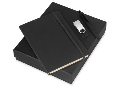 Подарочный набор Vision Pro Plus soft-touch с флешкой, ручкой и блокнотом А5, черный, soft touch