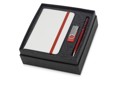 Подарочный набор Reporter Plus с флешкой, ручкой и блокнотом А6, красный, пластик, металл, картон