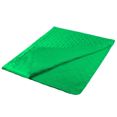 Плед для пикника Comfy, светло-зеленый, зеленый, флис