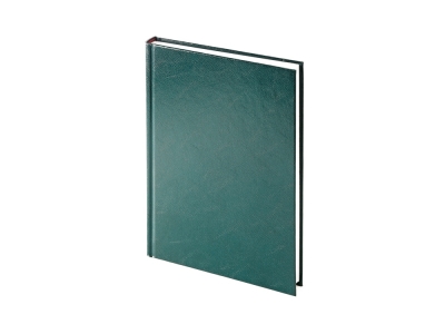 Ежедневник недатированный А5 «Ideal New», зеленый, кожзам