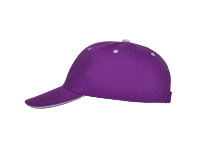 Бейсболка «Panel», фиолетовый, хлопок