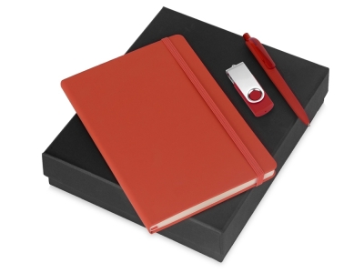 Подарочный набор Vision Pro Plus soft-touch с флешкой, ручкой и блокнотом А5, красный, soft touch