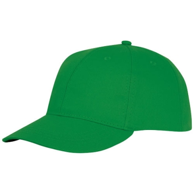 Шестипанельная кепка Ares, зеленый