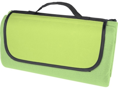 Плед для пикника «Salvie» из переработанного PET-пластика, зеленый, пластик