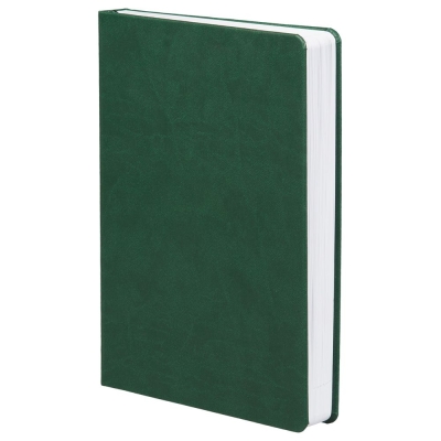Ежедневник Basis, датированный, зеленый, зеленый, кожзам