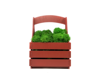 Композиция «Корзинка со мхом», зеленый, красный, дерево