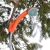 Портативный душ Rombica Shower PS1 Orange