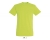 Фуфайка (футболка) REGENT мужская,Зеленое яблоко XXS, зеленое яблоко