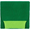 Шарф Snappy, зеленый с салатовым, зеленый, акрил