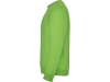 Свитшот с начесом «Clasica» унисекс, зеленый, полиэстер, хлопок