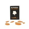 Головоломка IQ Puzzle, дерево, оргстекло